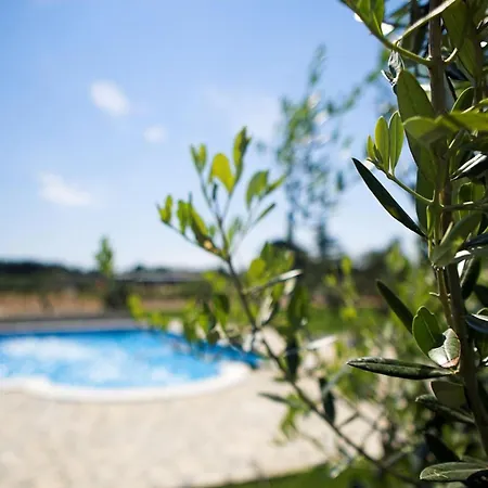 Guest house Marceta - & With Swimming Pool